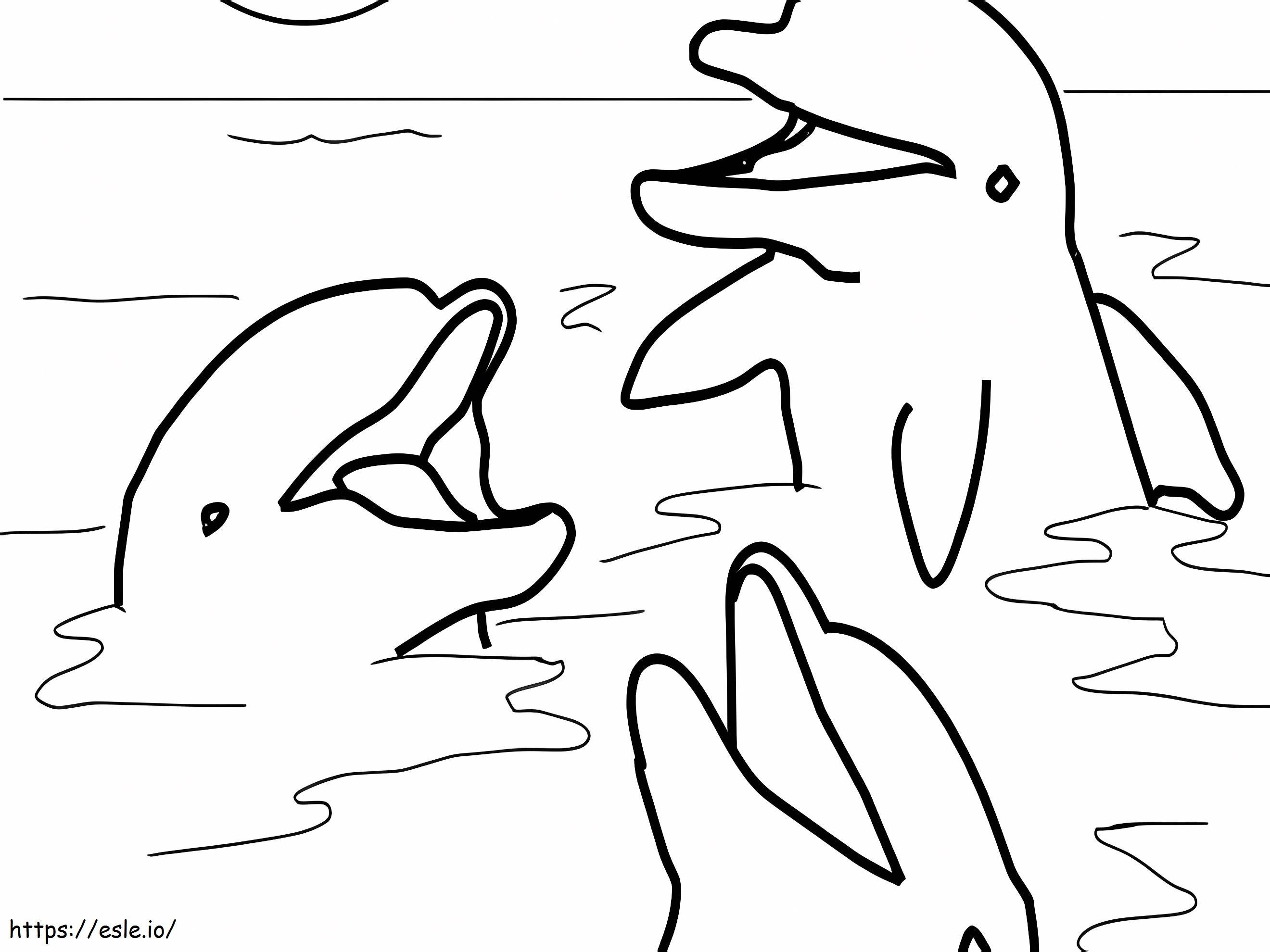 Felices tres delfines para colorear