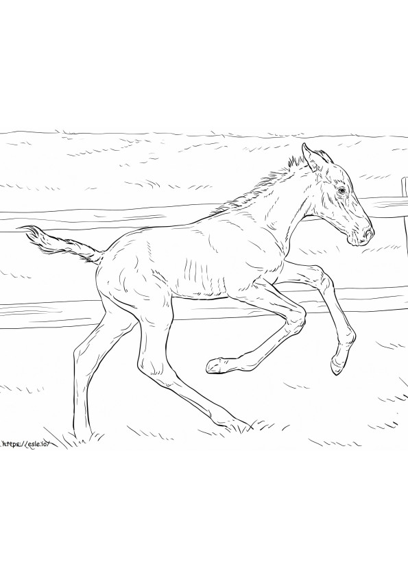 Realistic Bucking Foal coloring page