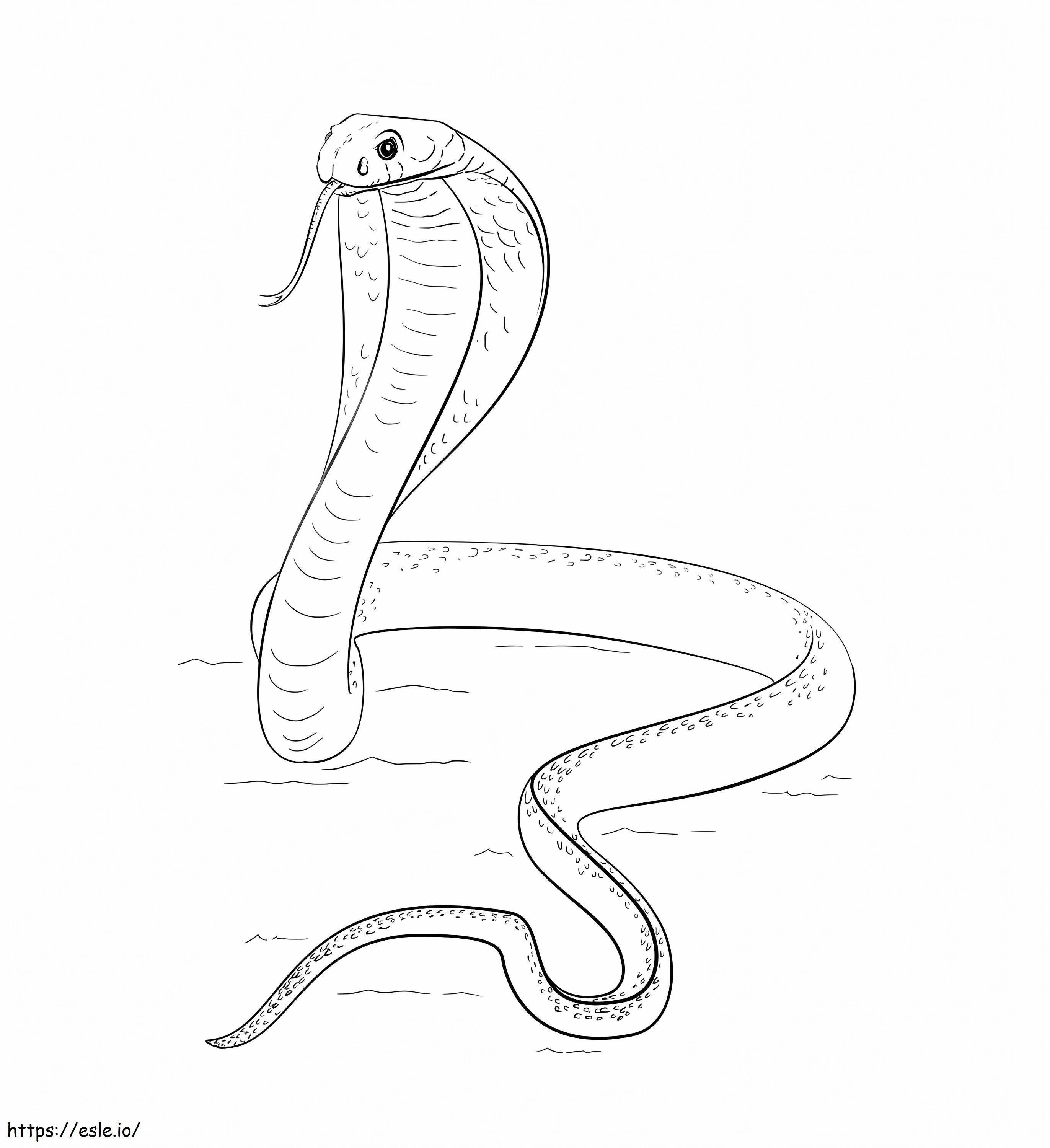  Snake A4 värityskuva