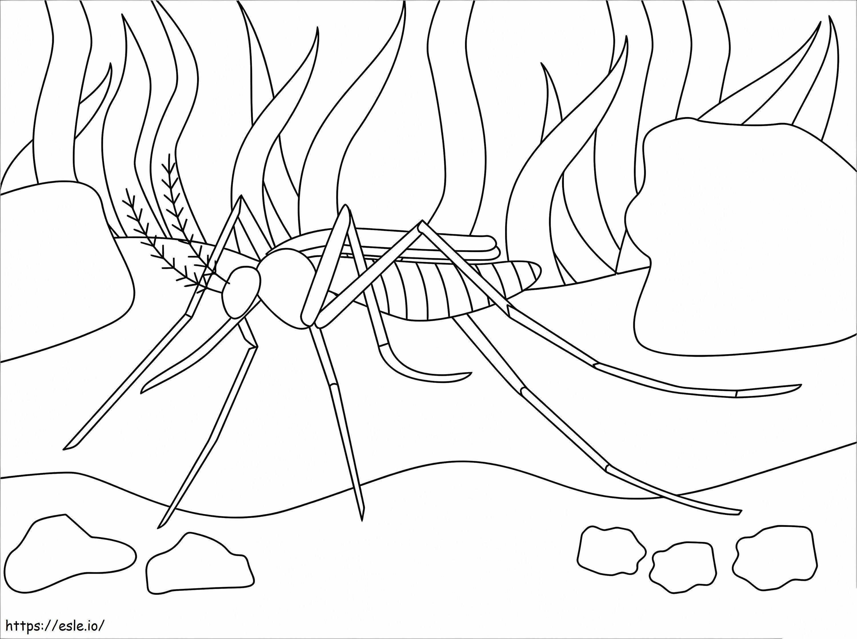 Simple Mosquito coloring page