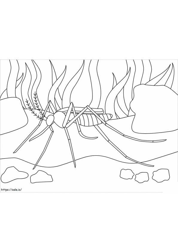 Simple Mosquito coloring page