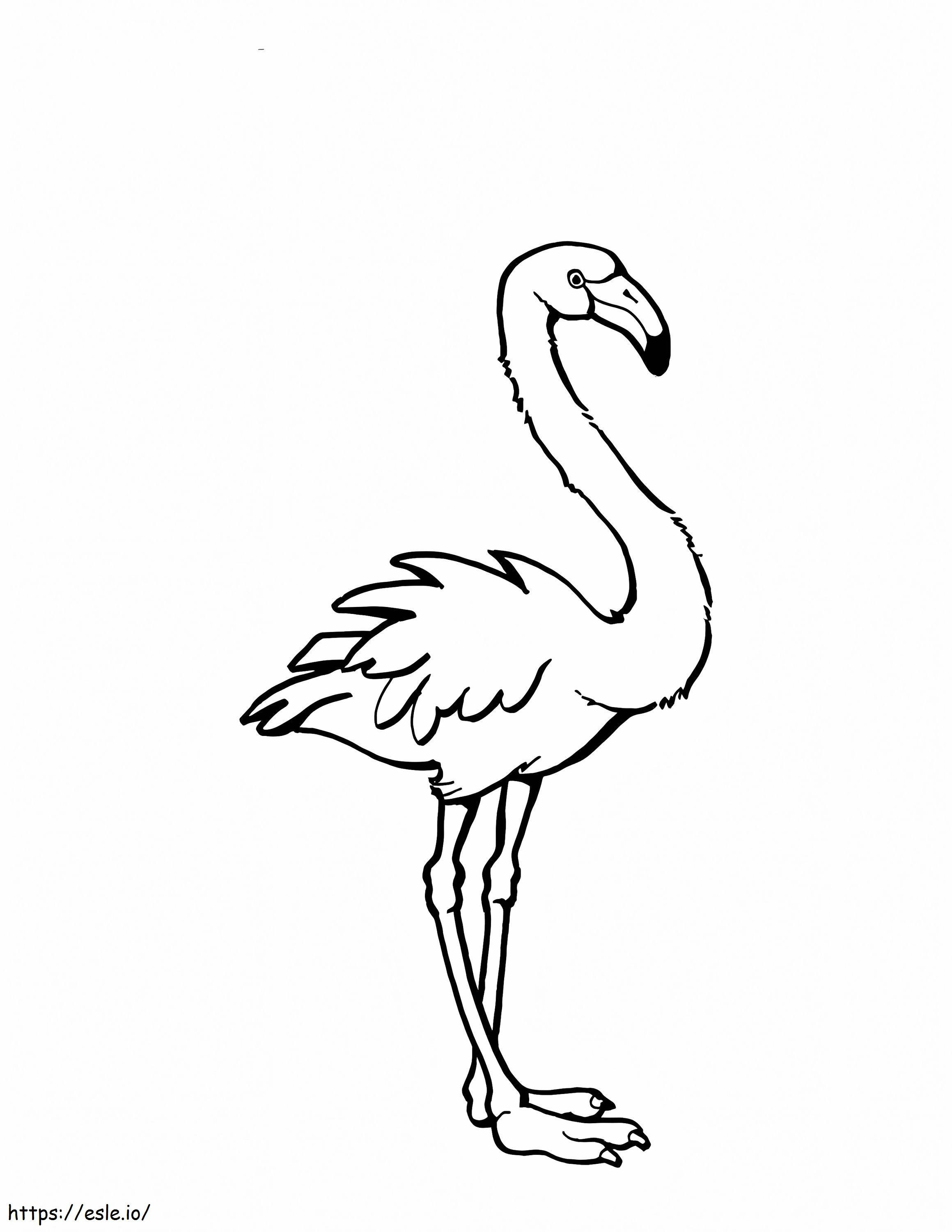 Pembe flamingo boyama