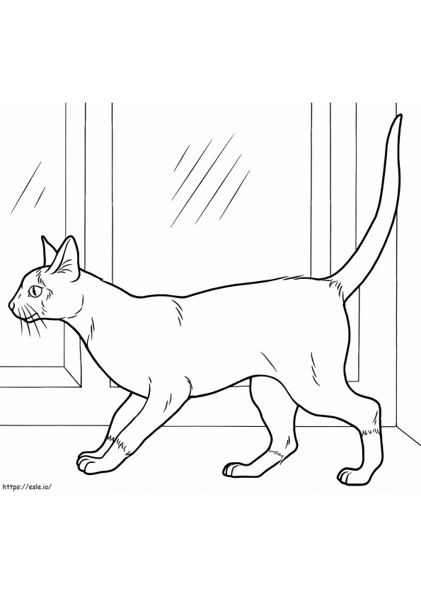 Sziámi macska 1 kifestő