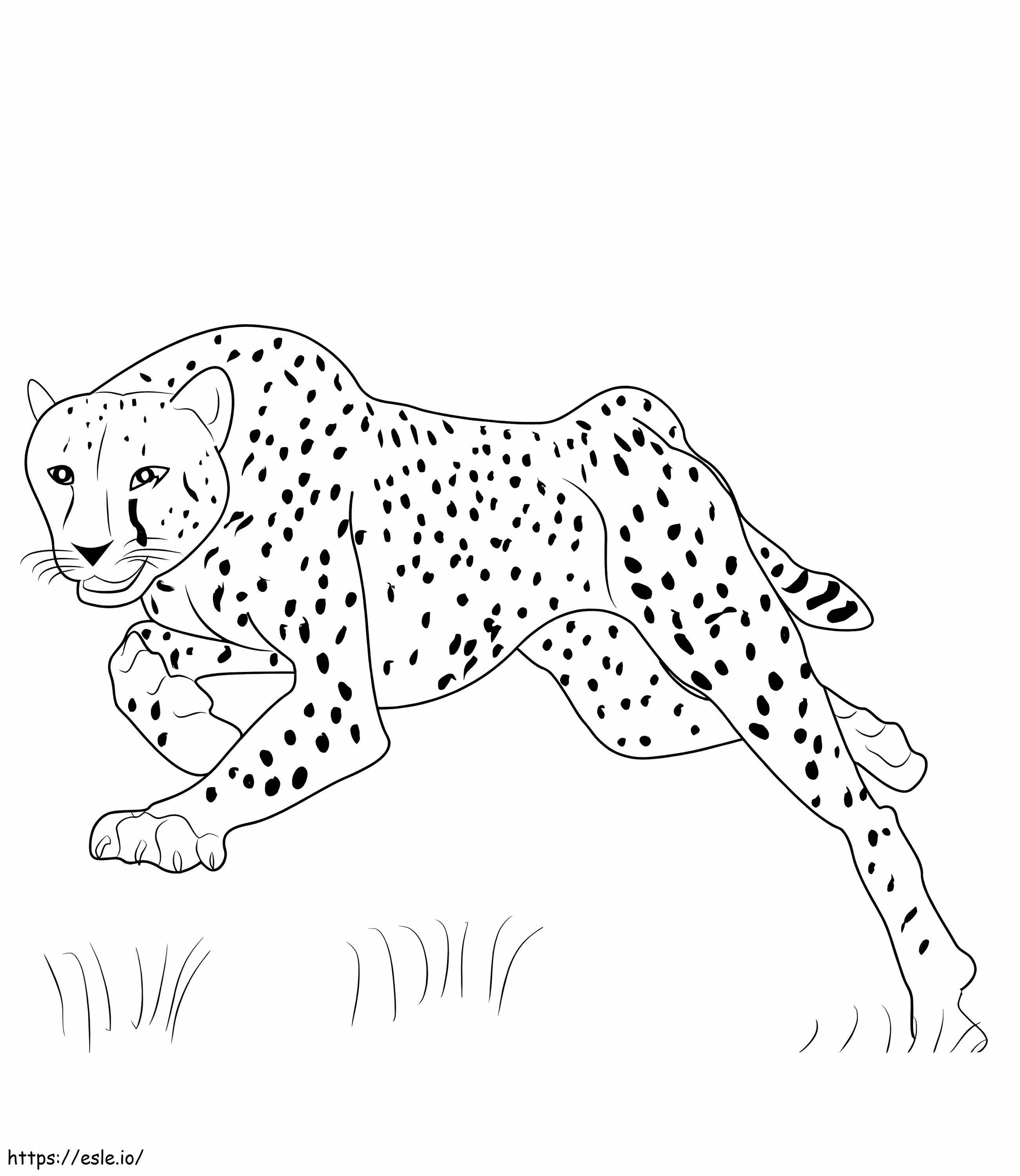 Leaping Cheetah coloring page