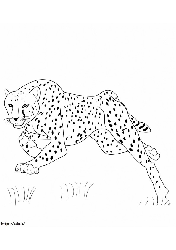 Hyppäävä gepardi värityskuva