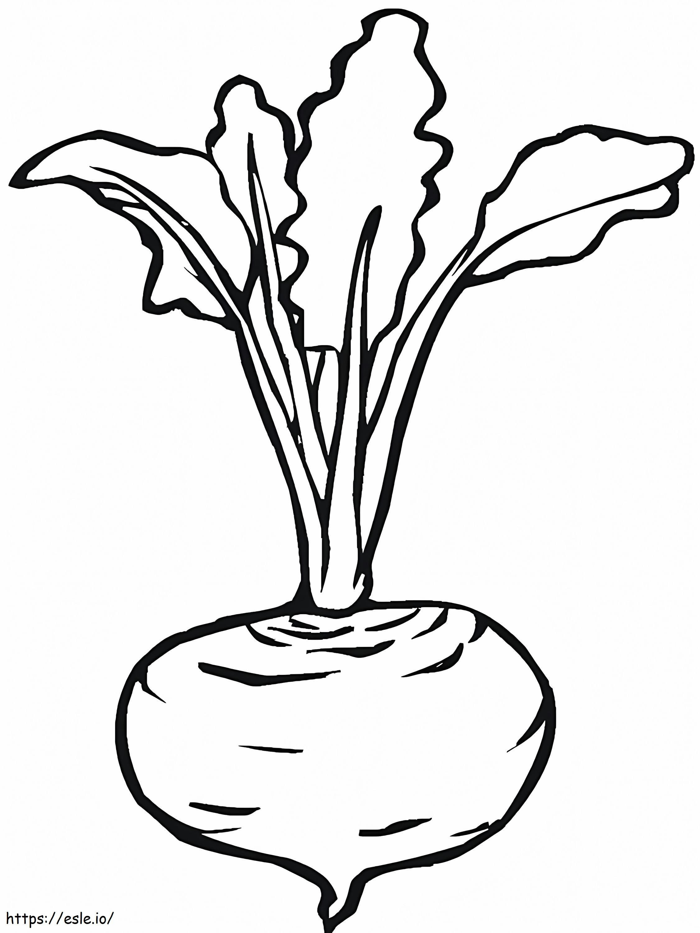 Free Beetroot To Color coloring page