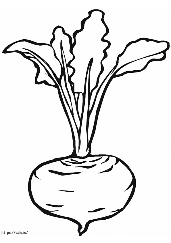 Free Beetroot To Color coloring page