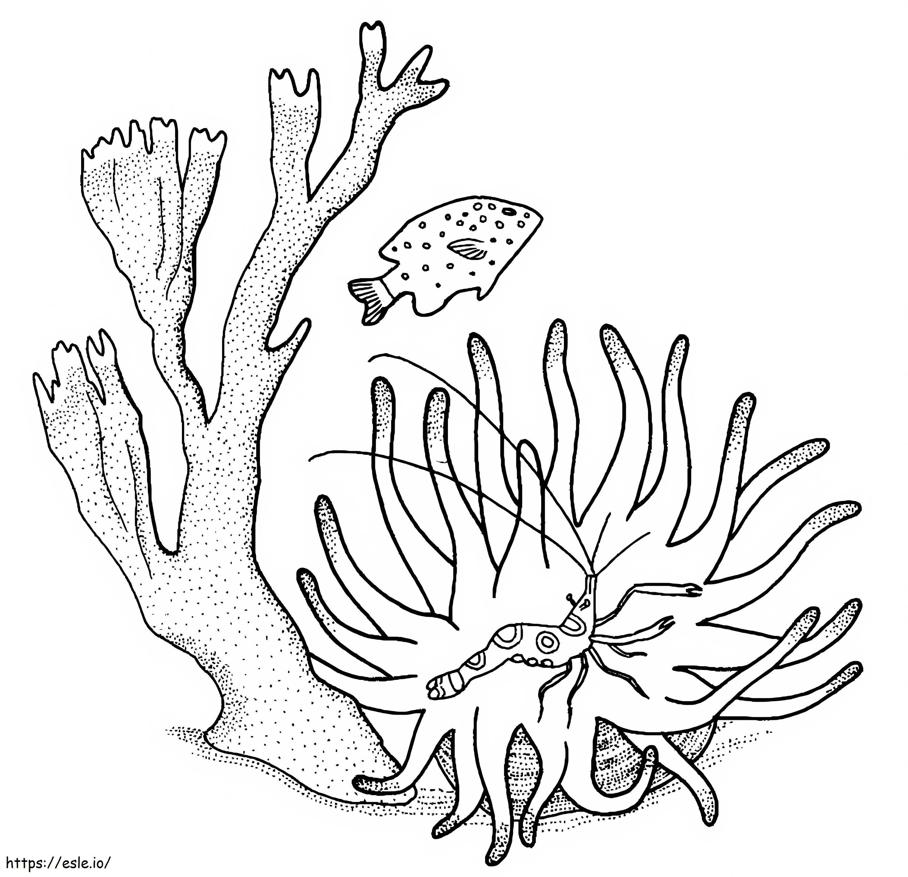 Camarão Coral E Peixe para colorir