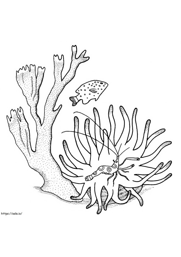 Camarão Coral E Peixe para colorir