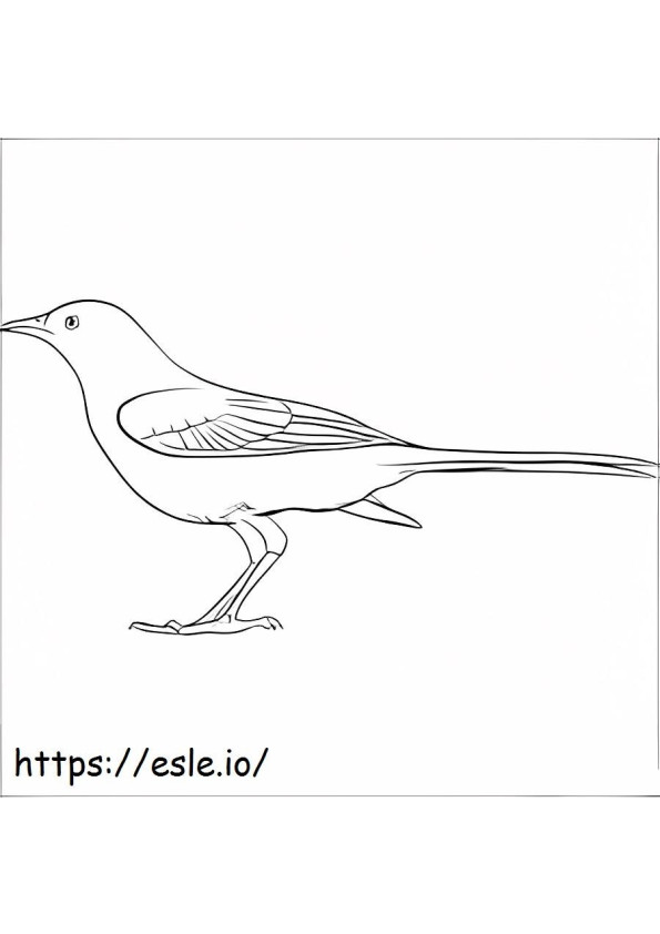 Simple Nightingale coloring page