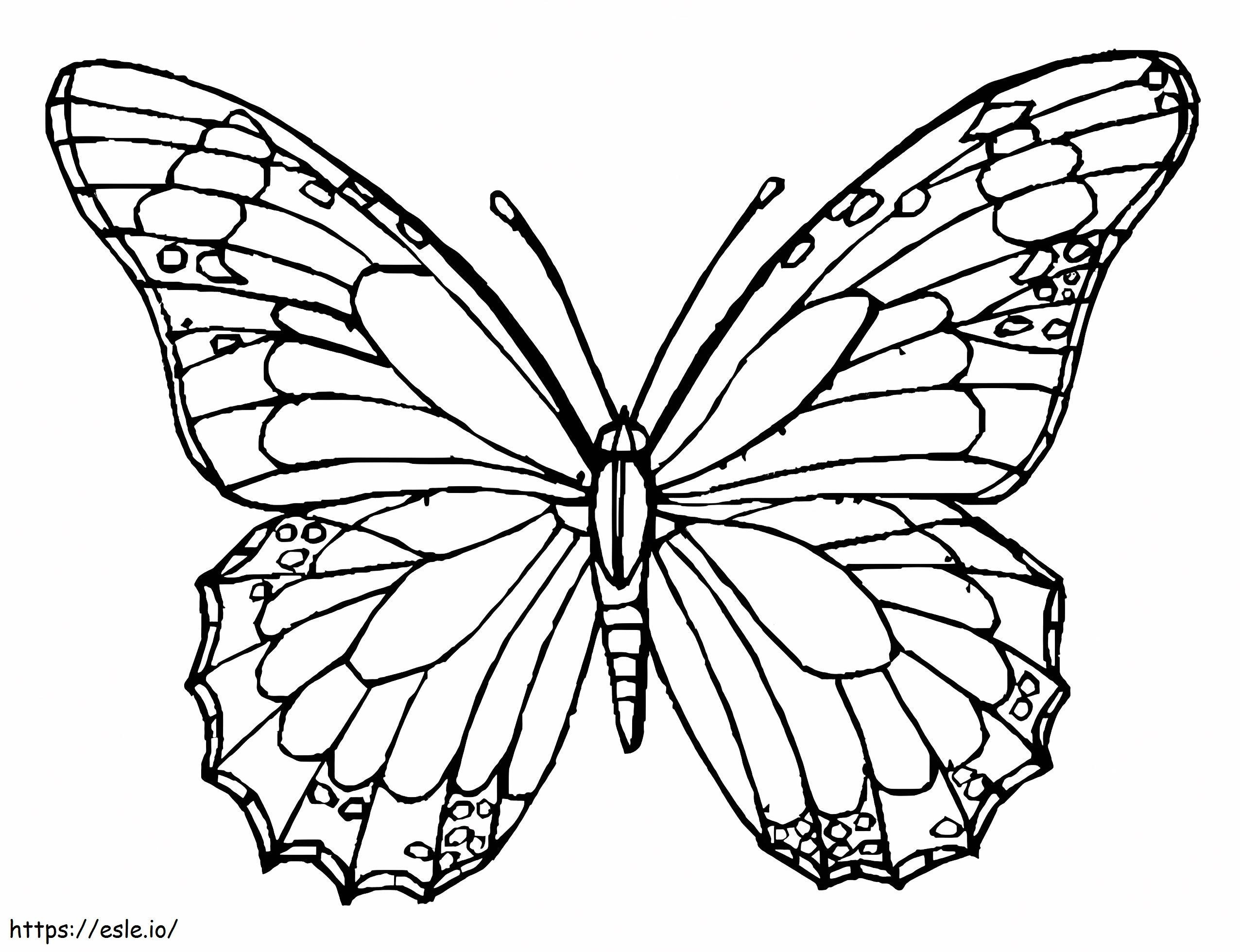 Schöner Schmetterling ausmalbilder