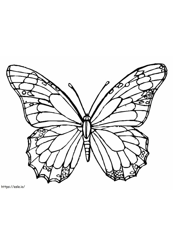 Nice Butterfly coloring page