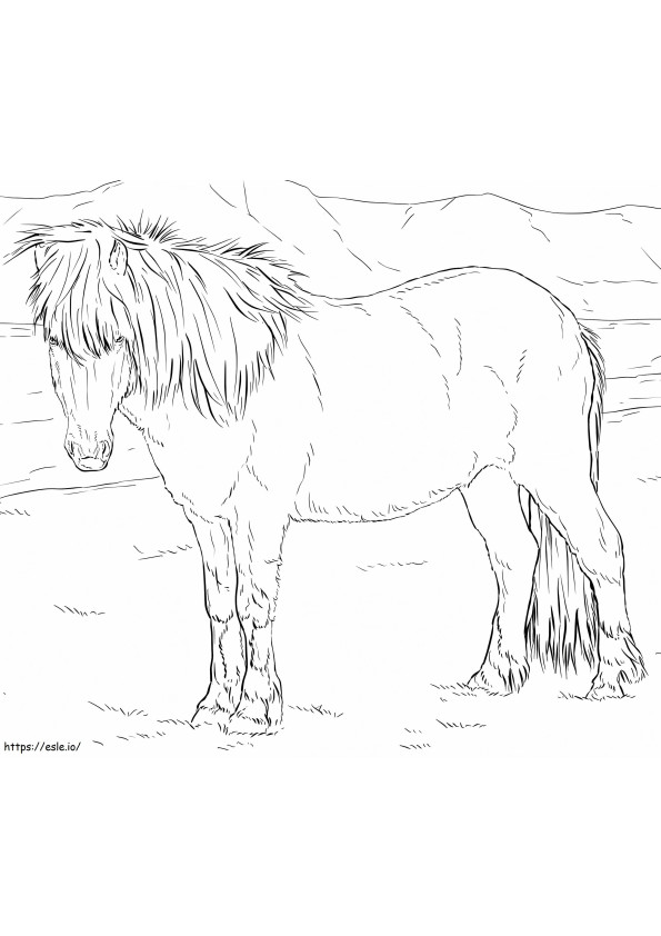 Islandzki koń kolorowanka