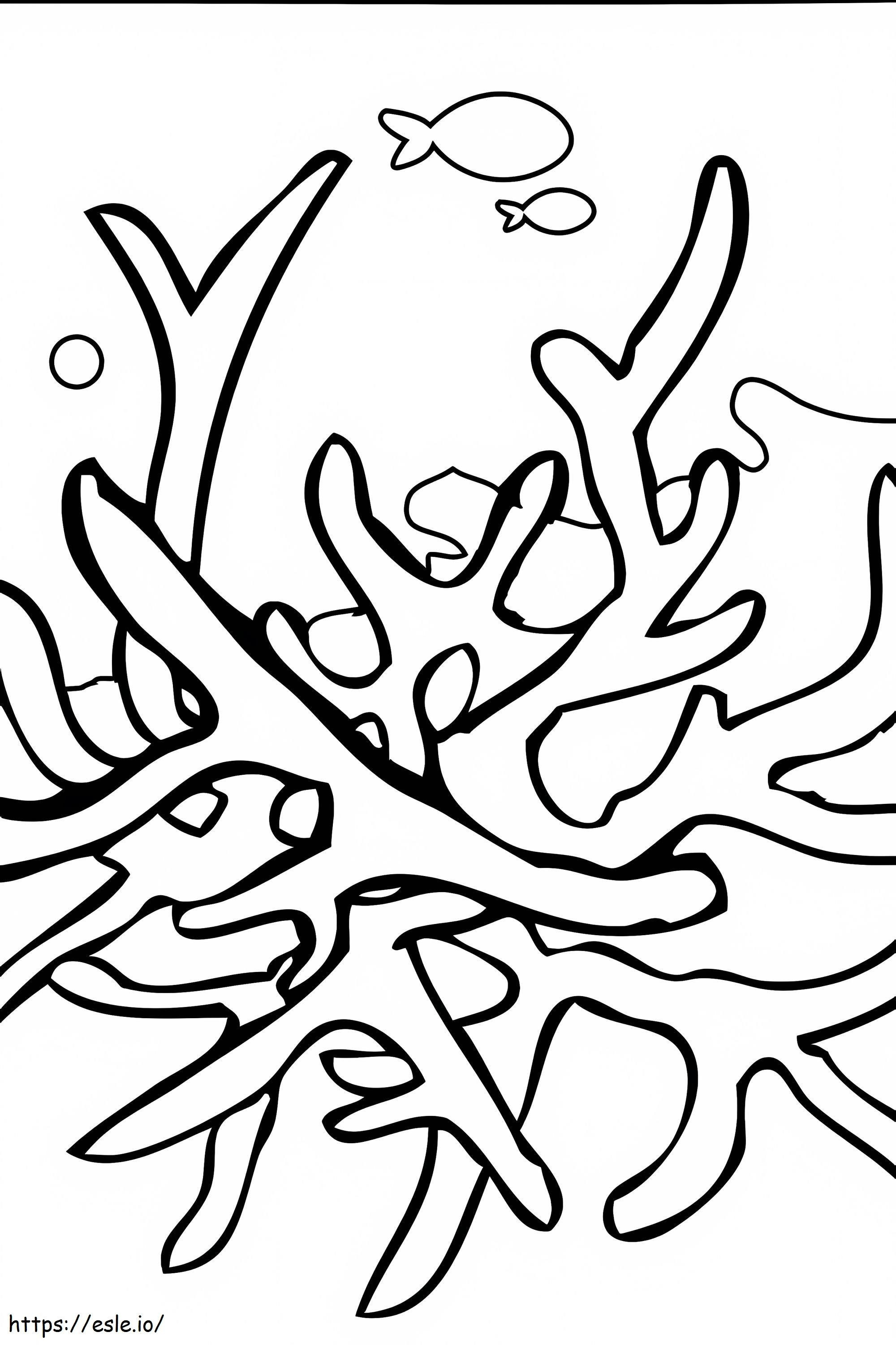 Coral Simple coloring page