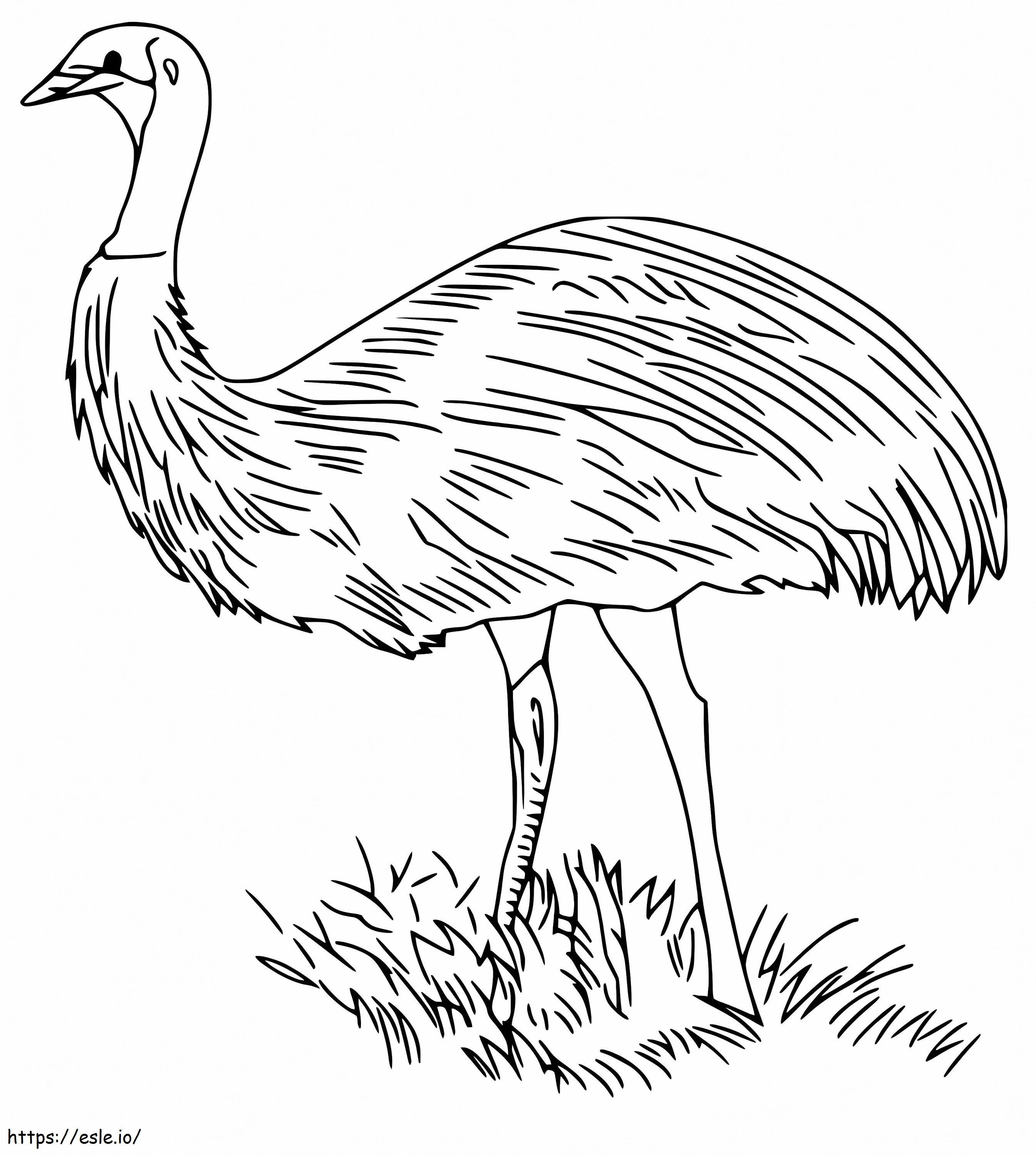 Emú sobre hierba para colorear