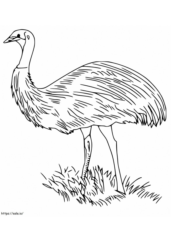 Emú sobre hierba para colorear