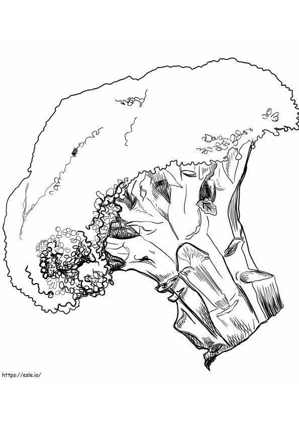Free Broccoli coloring page