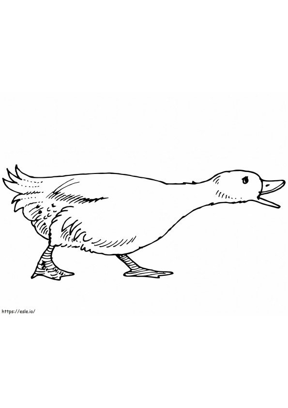 Quacking Goose coloring page