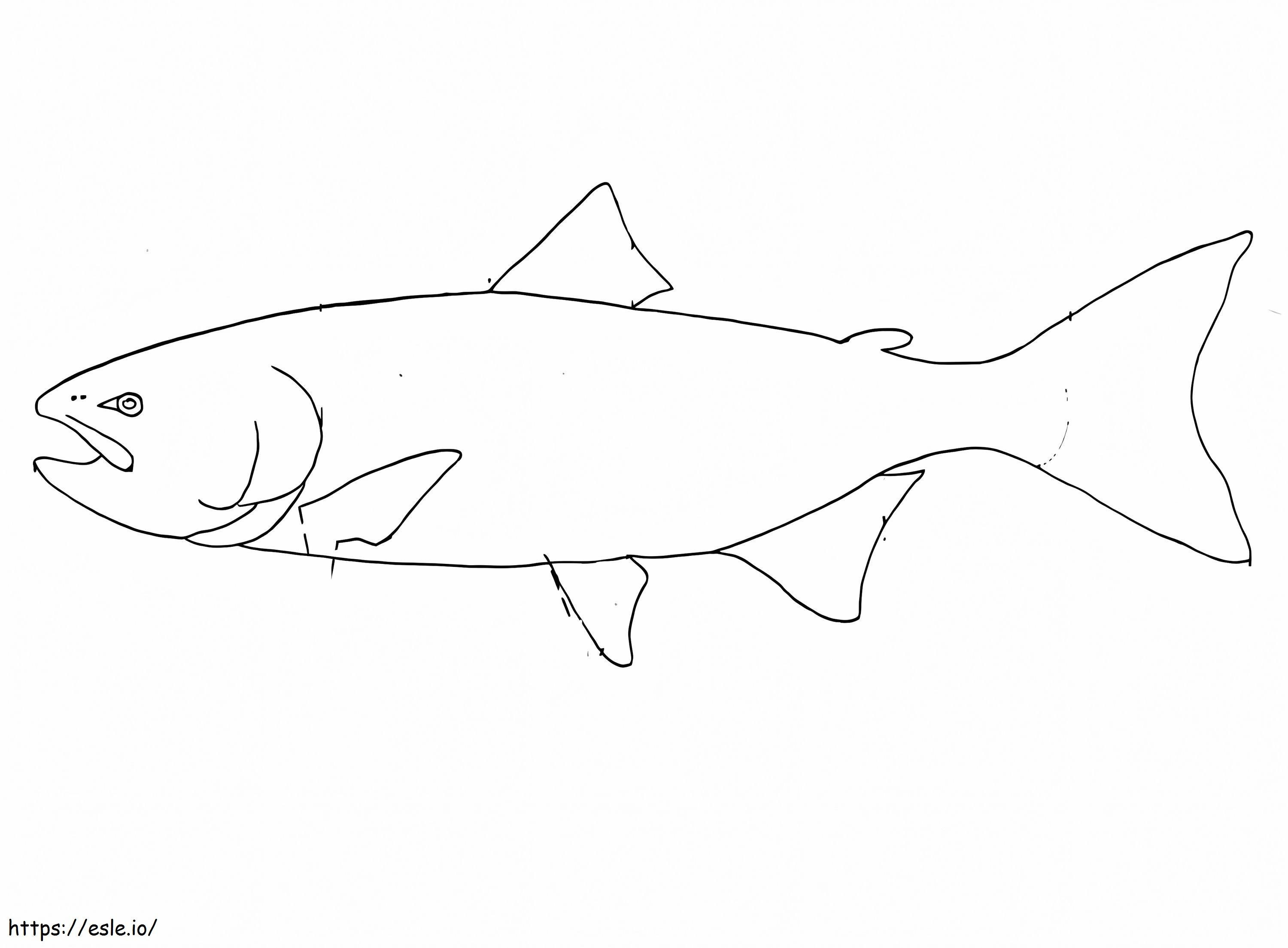 Coloriage Esquisse de saumon à imprimer dessin