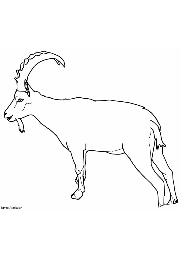 Villi Ibex värityskuva