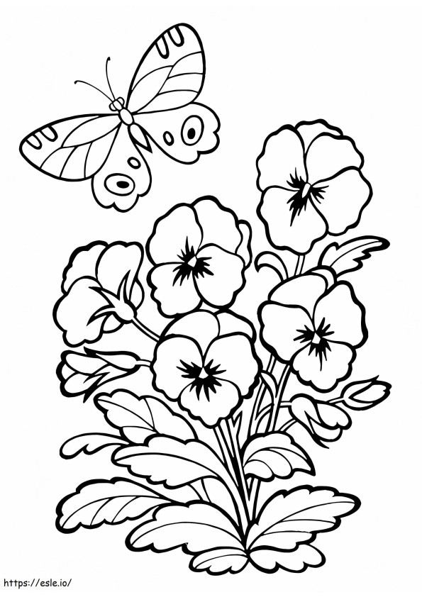 Pansies And Butterfly coloring page