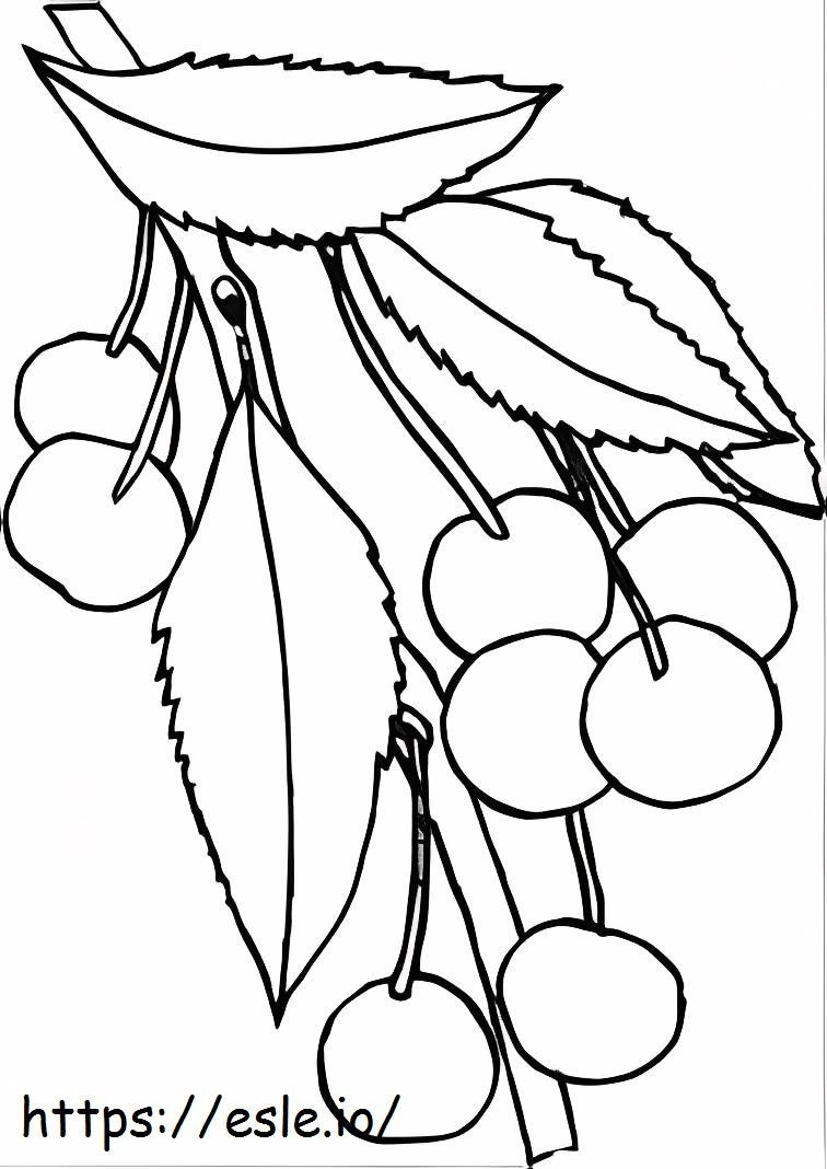 Cherrys On Tree Branch coloring page
