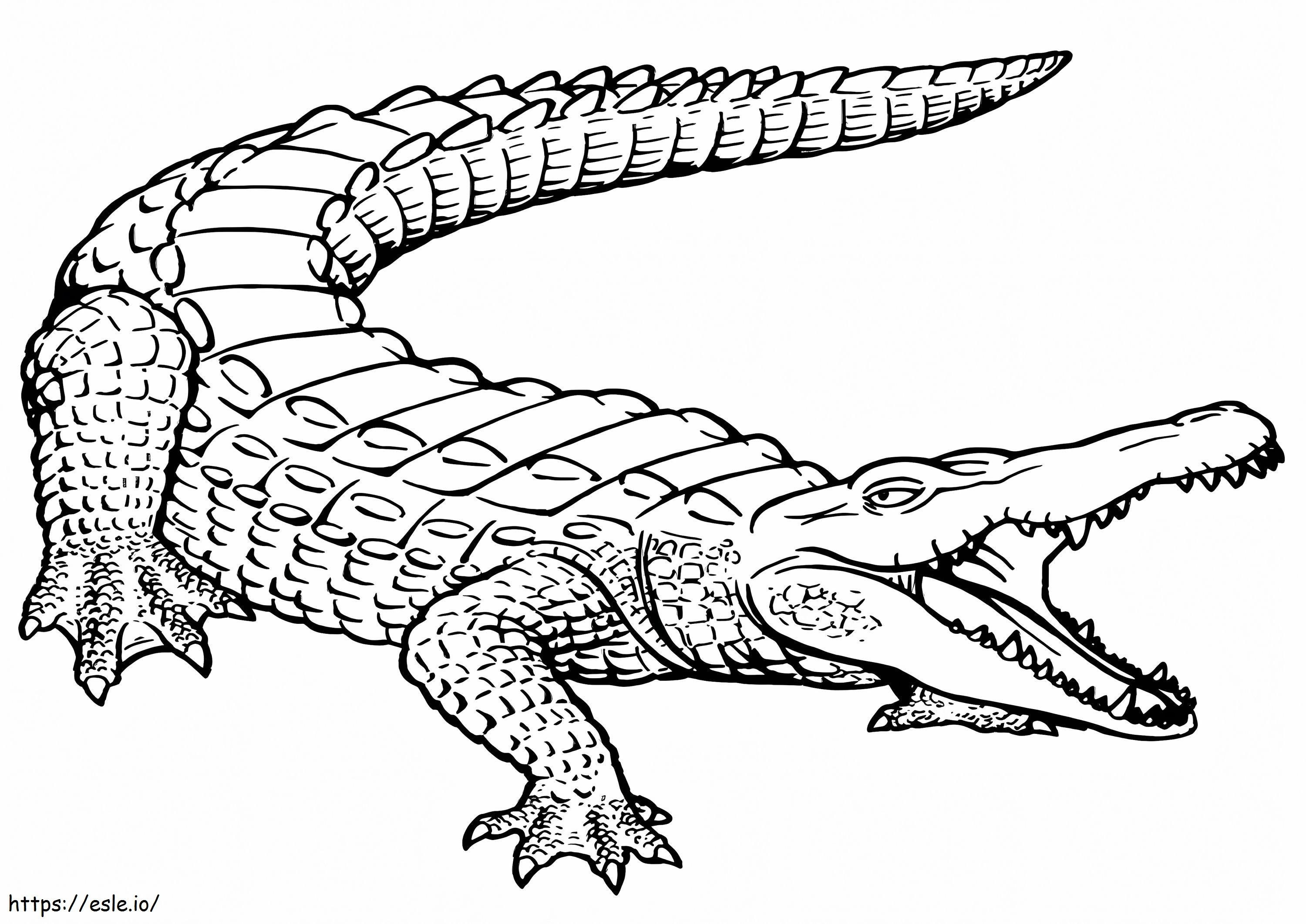 Coloriage Imprimé Crocodile à imprimer dessin