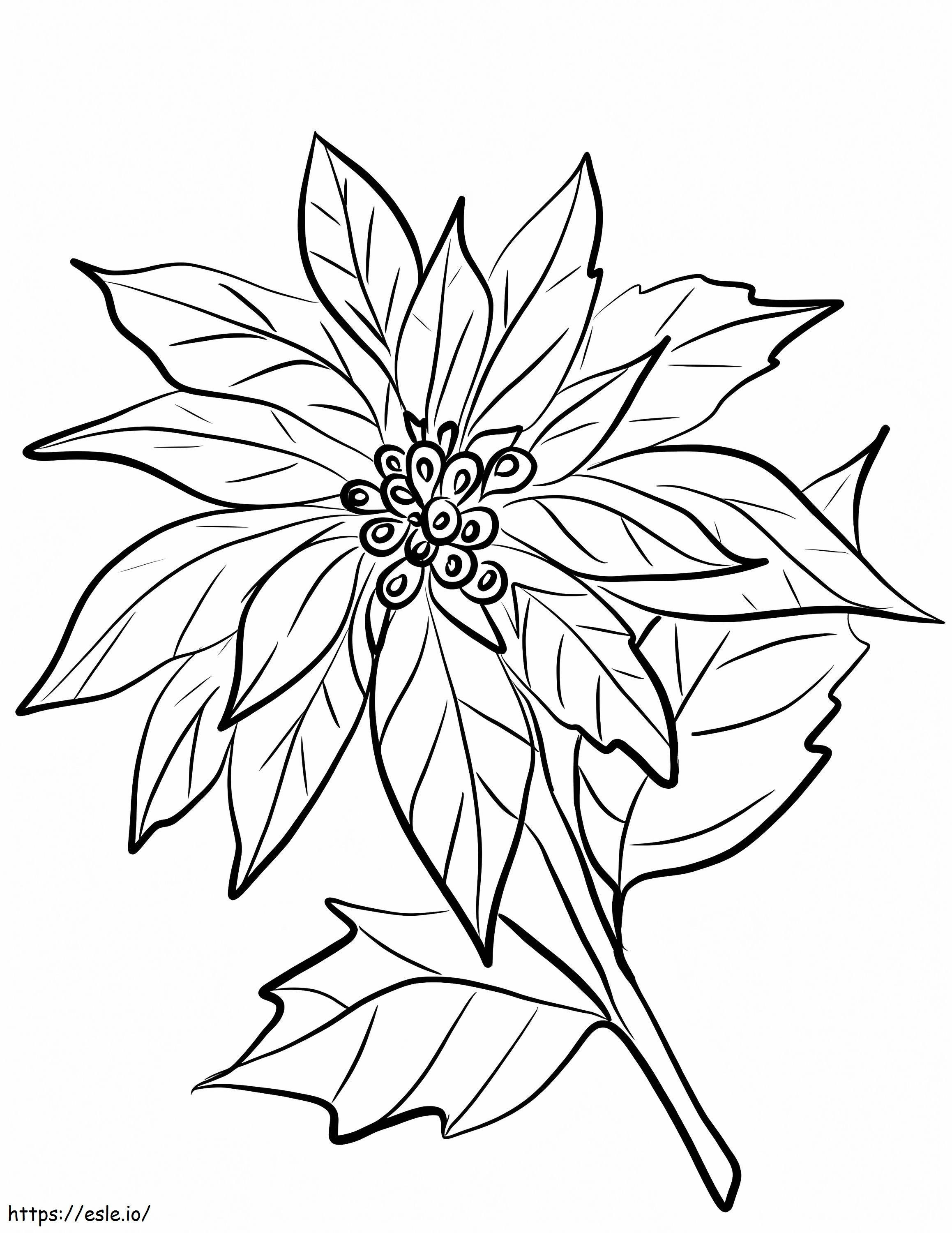 Coloriage Fleur de poinsettia imprimable à imprimer dessin