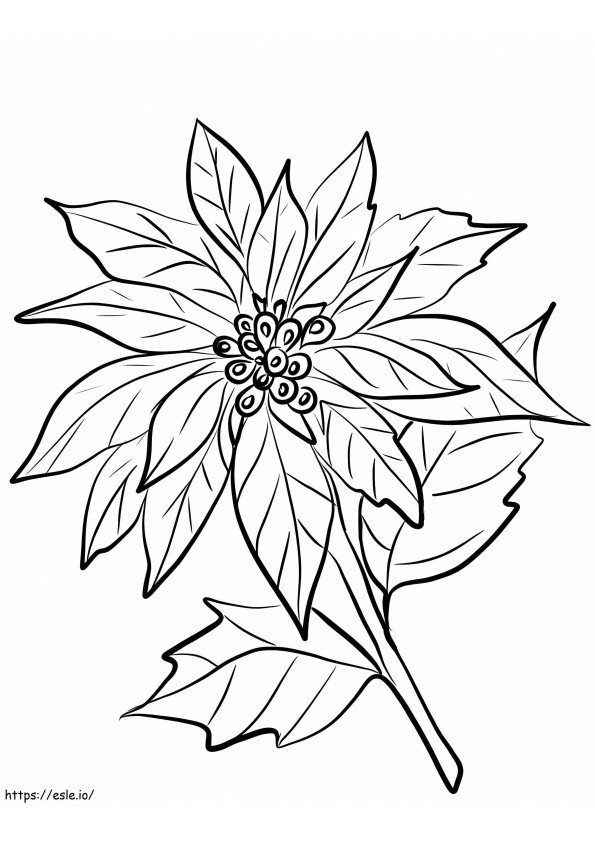 Afdrukbare Poinsettia-bloem kleurplaat