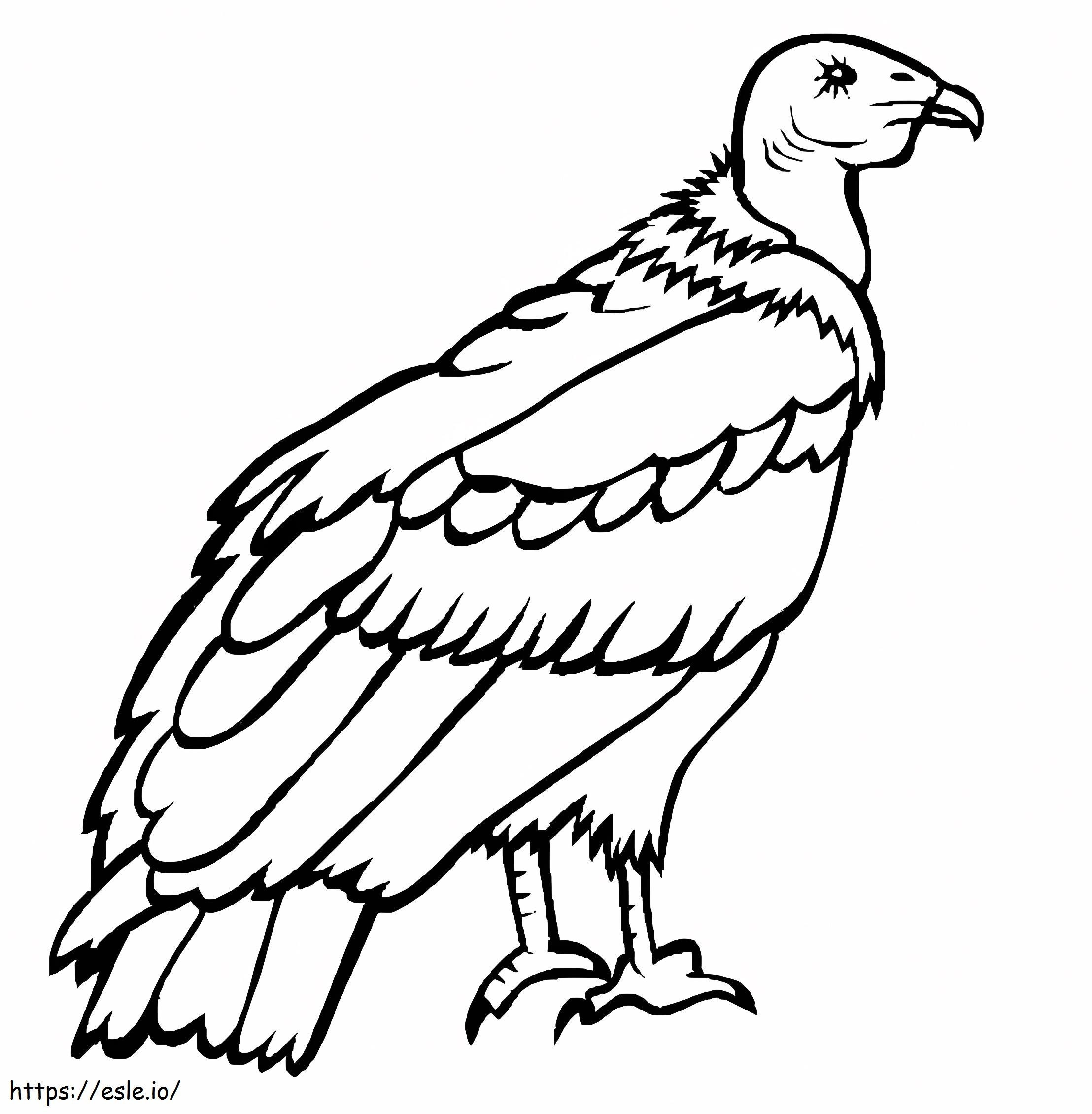 Andien Condor värityskuva