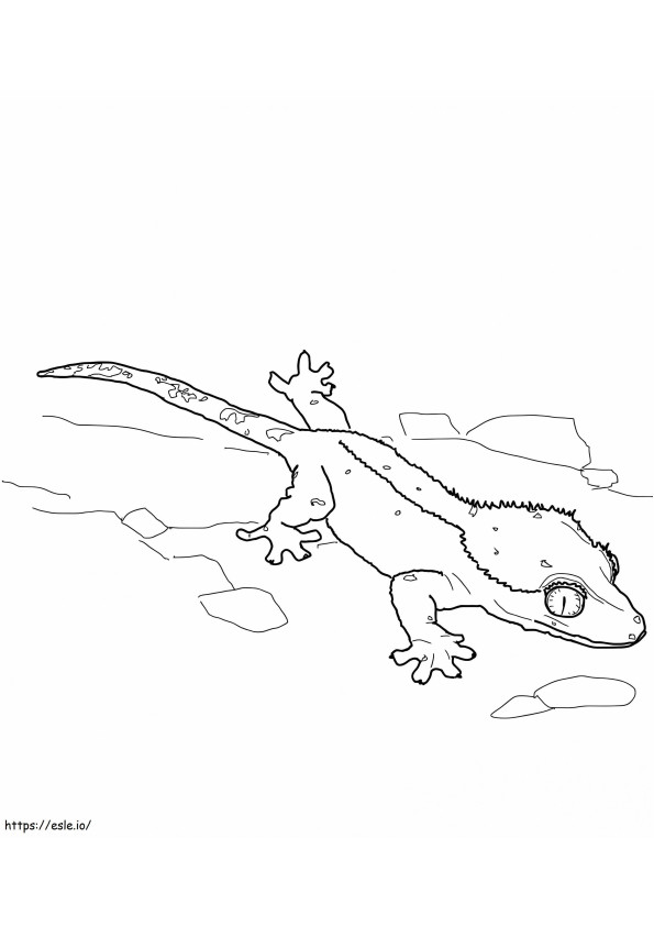 Coloriage Lézard gecko à crête à imprimer dessin
