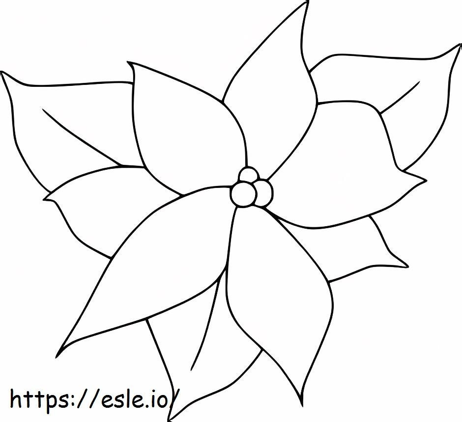 Coloriage Poinsettia en fleurs à imprimer dessin