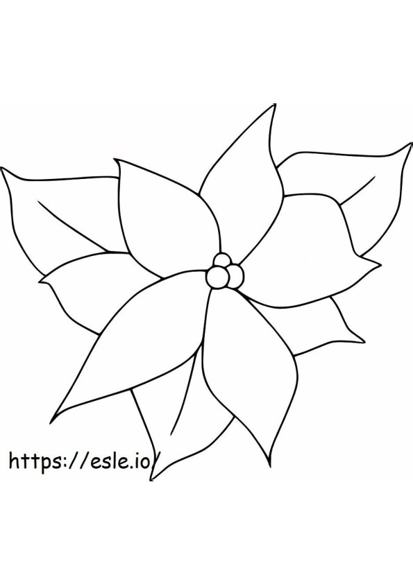 Blooming Poinsettia coloring page