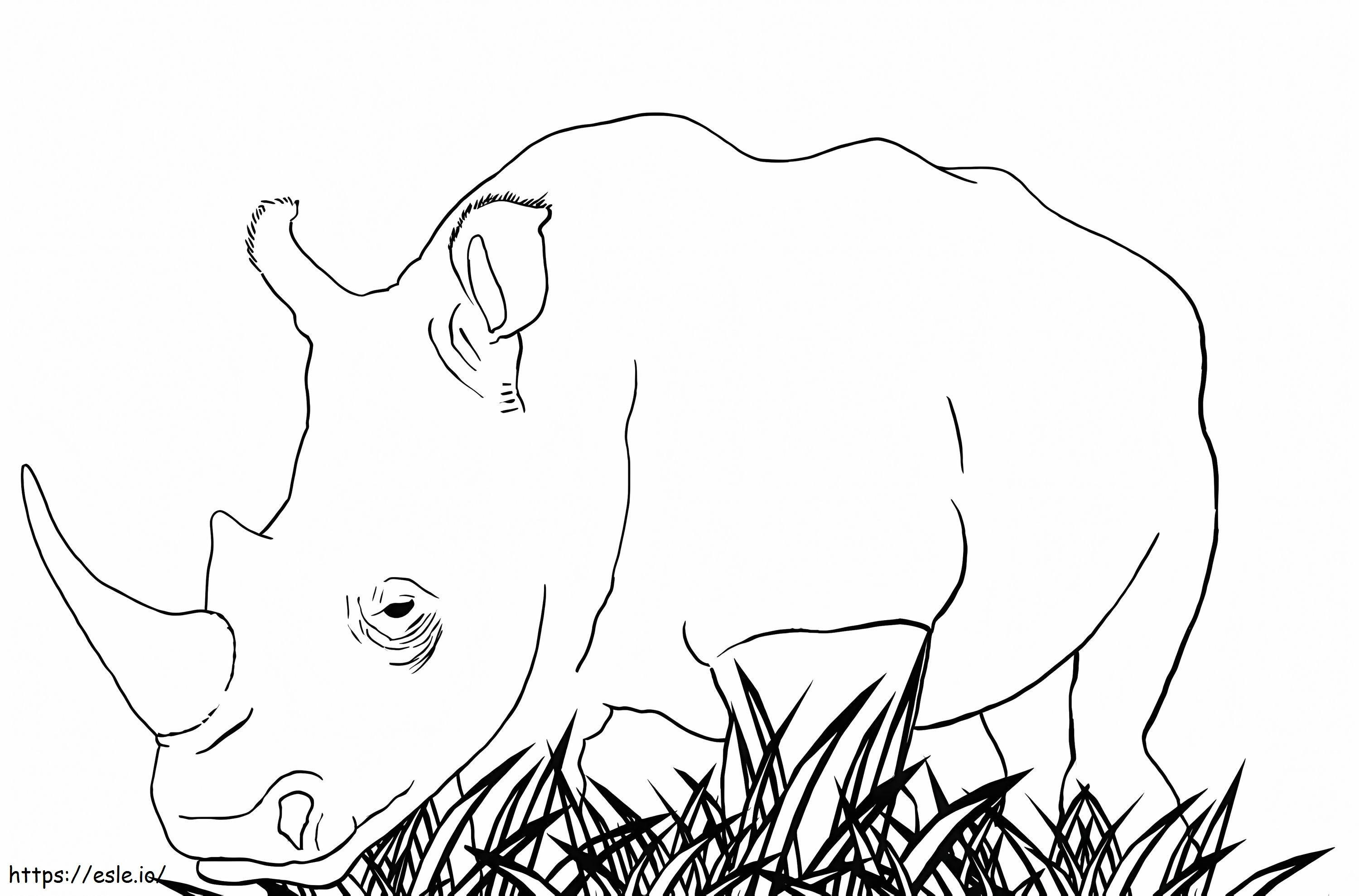 Coloriage rhinocéros blanc à imprimer dessin