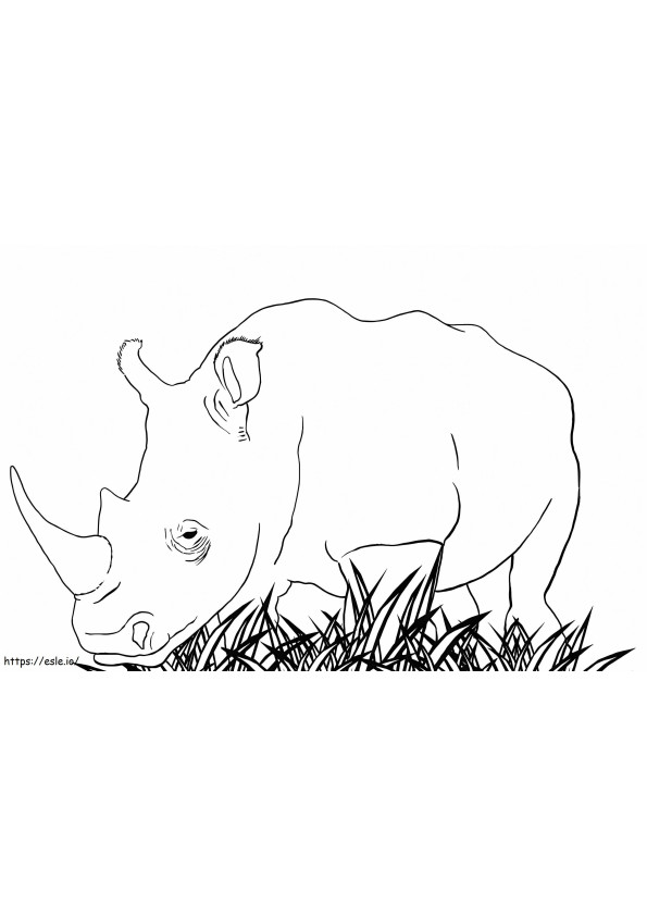 Rinoceronte blanco para colorear
