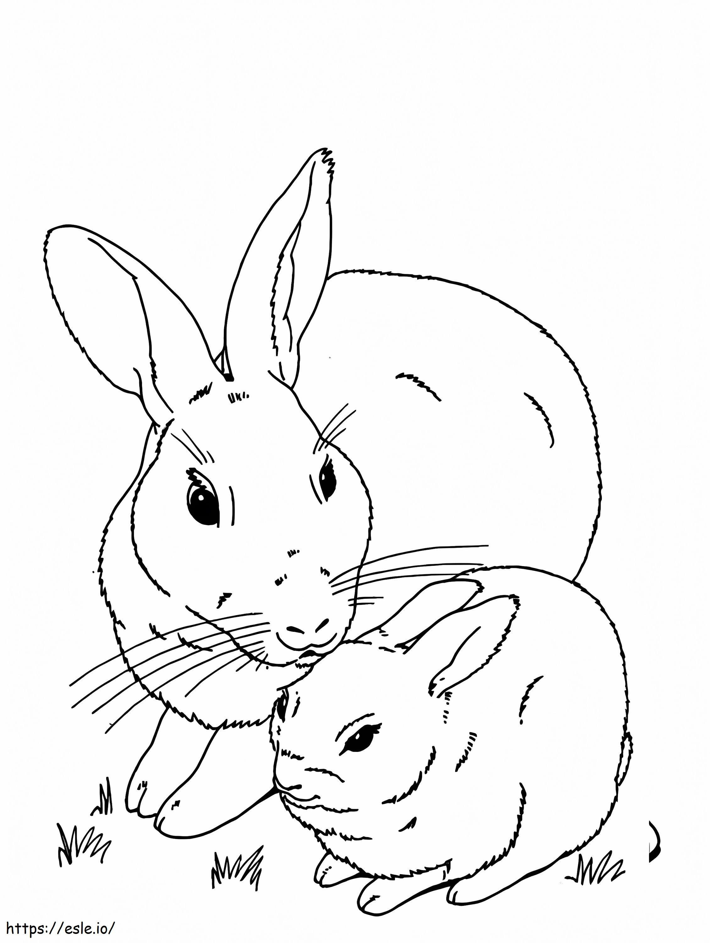 Mãe e bebê coelho para colorir