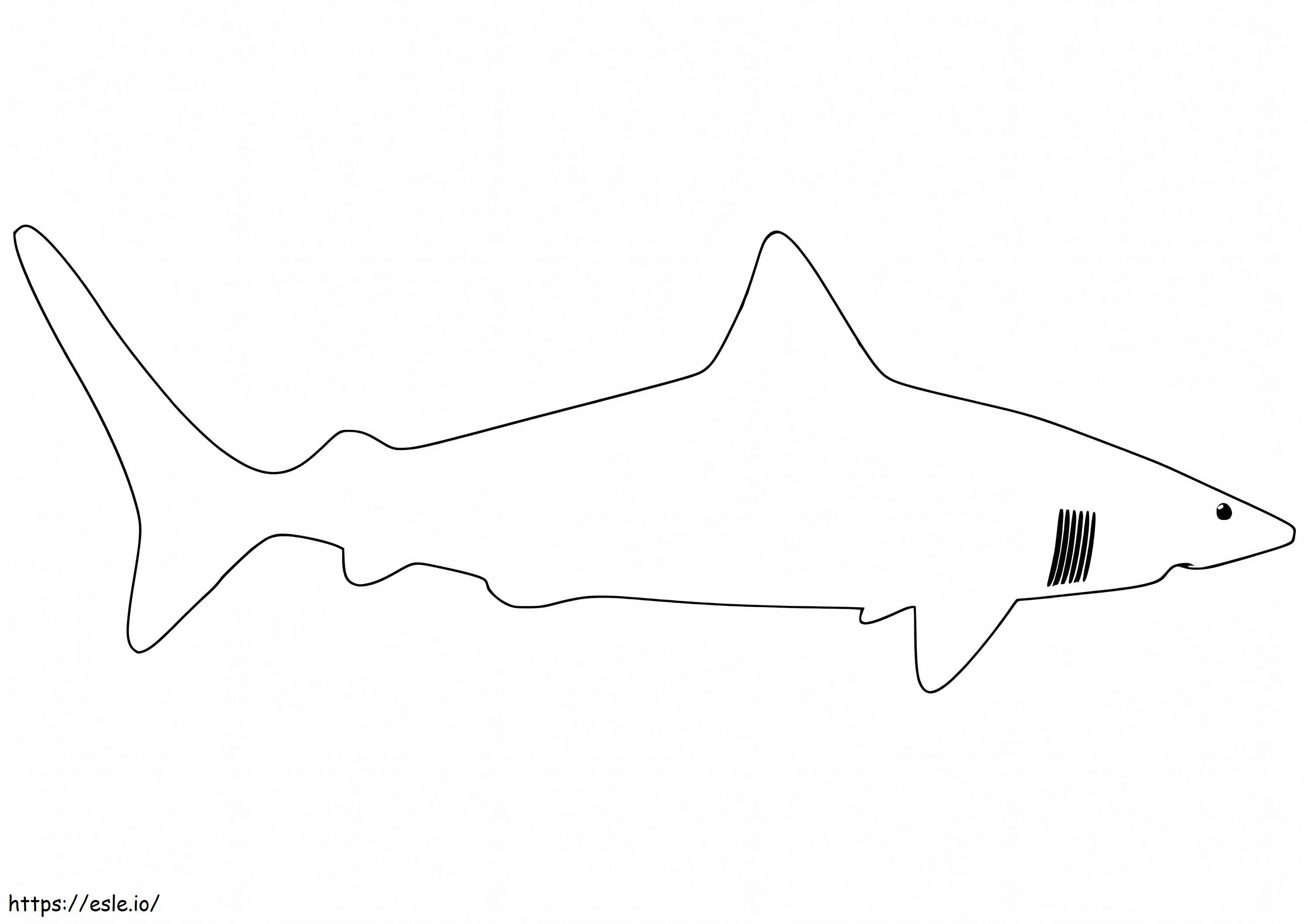Shark Outline värityskuva