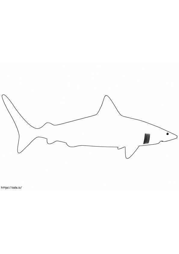 Shark Outline coloring page