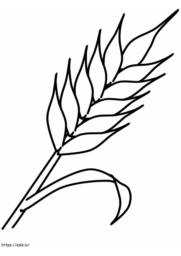 Crops Of Canada 1 coloring page