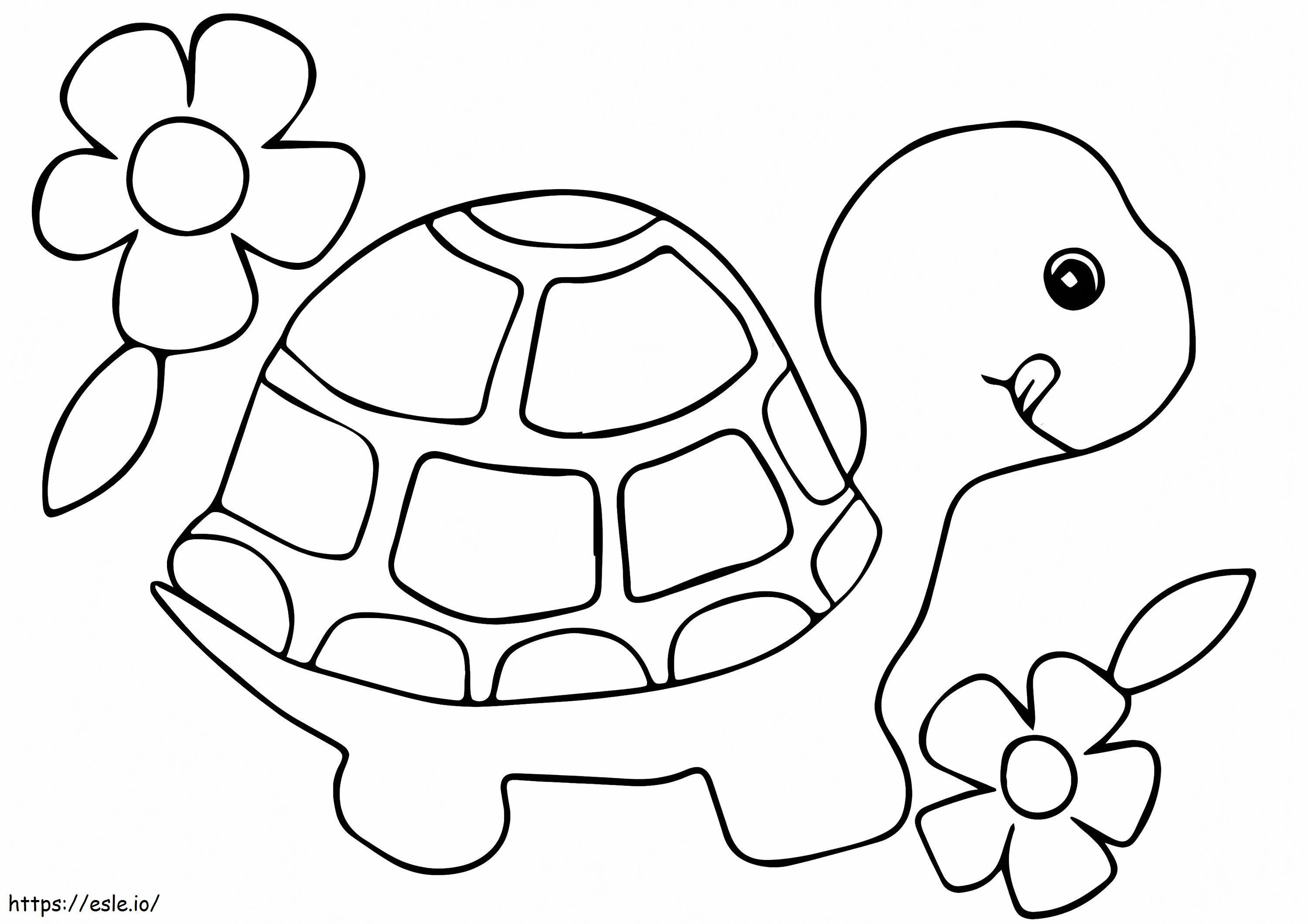 tortuga y flores para colorear