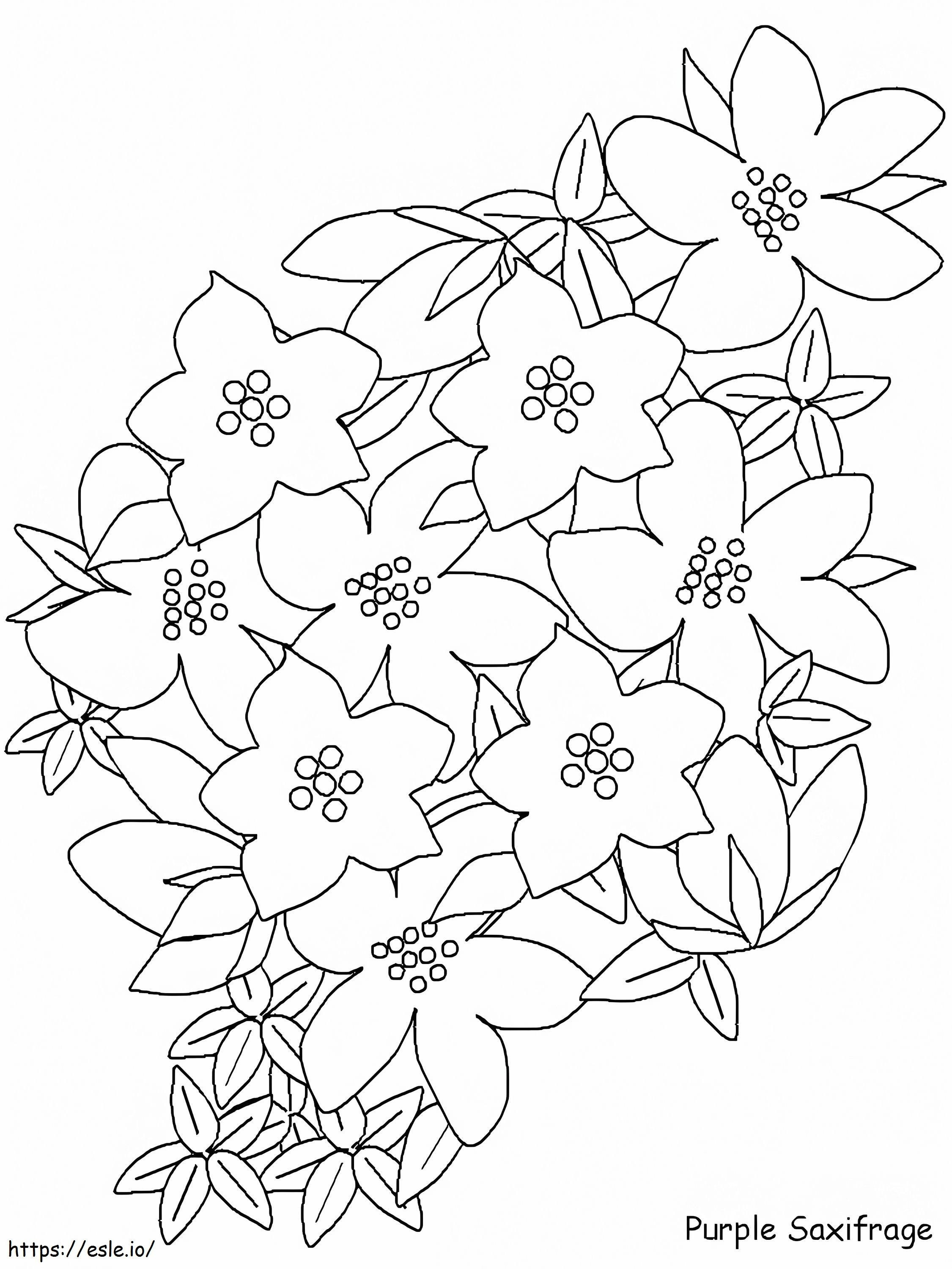 Coloriage  Purplesaxifragea4 à imprimer dessin