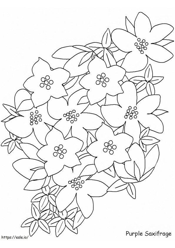  Violasaxifragea4 da colorare