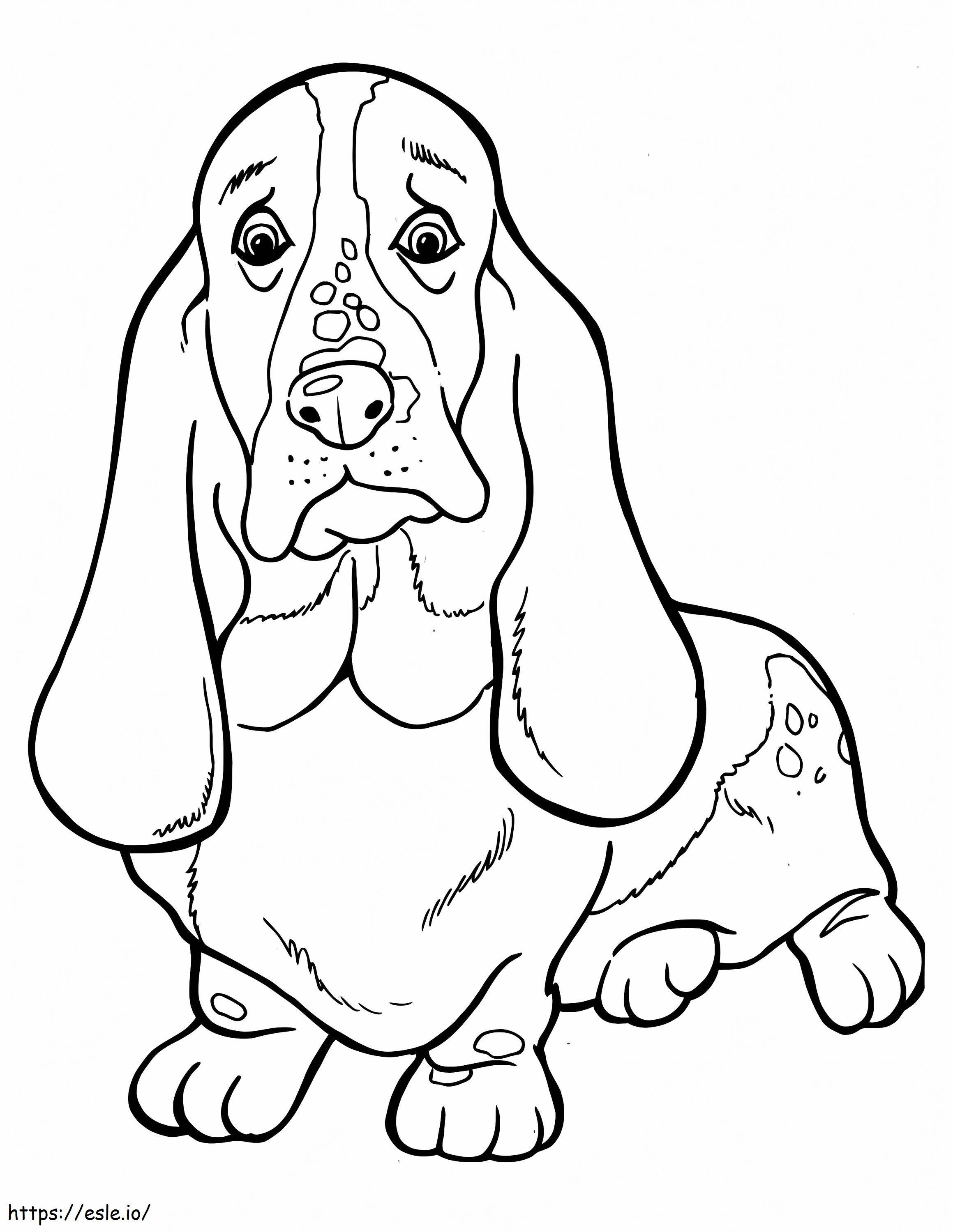 Normal Basset Hound coloring page