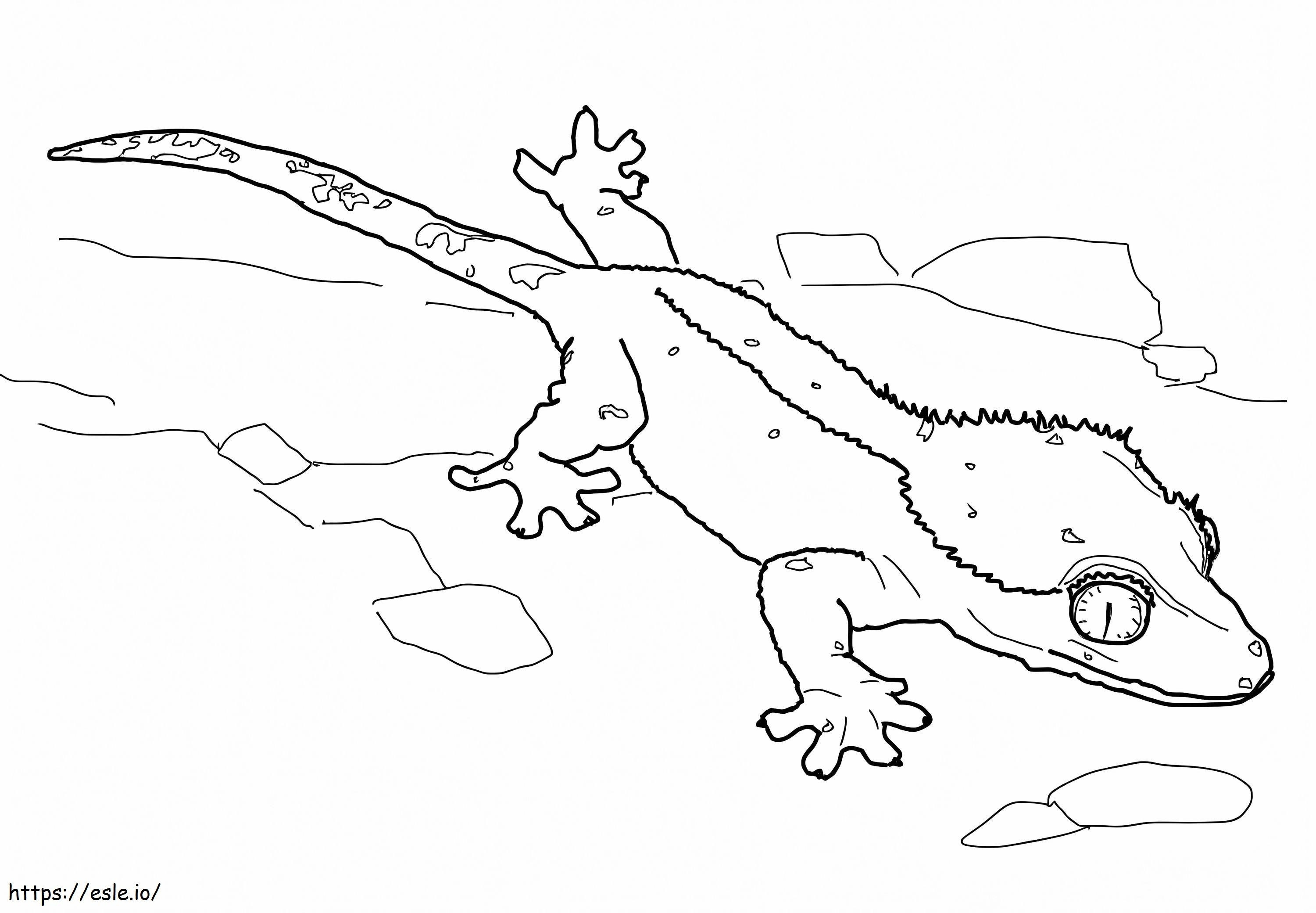 Gecko A Crete 1024X710 coloring page