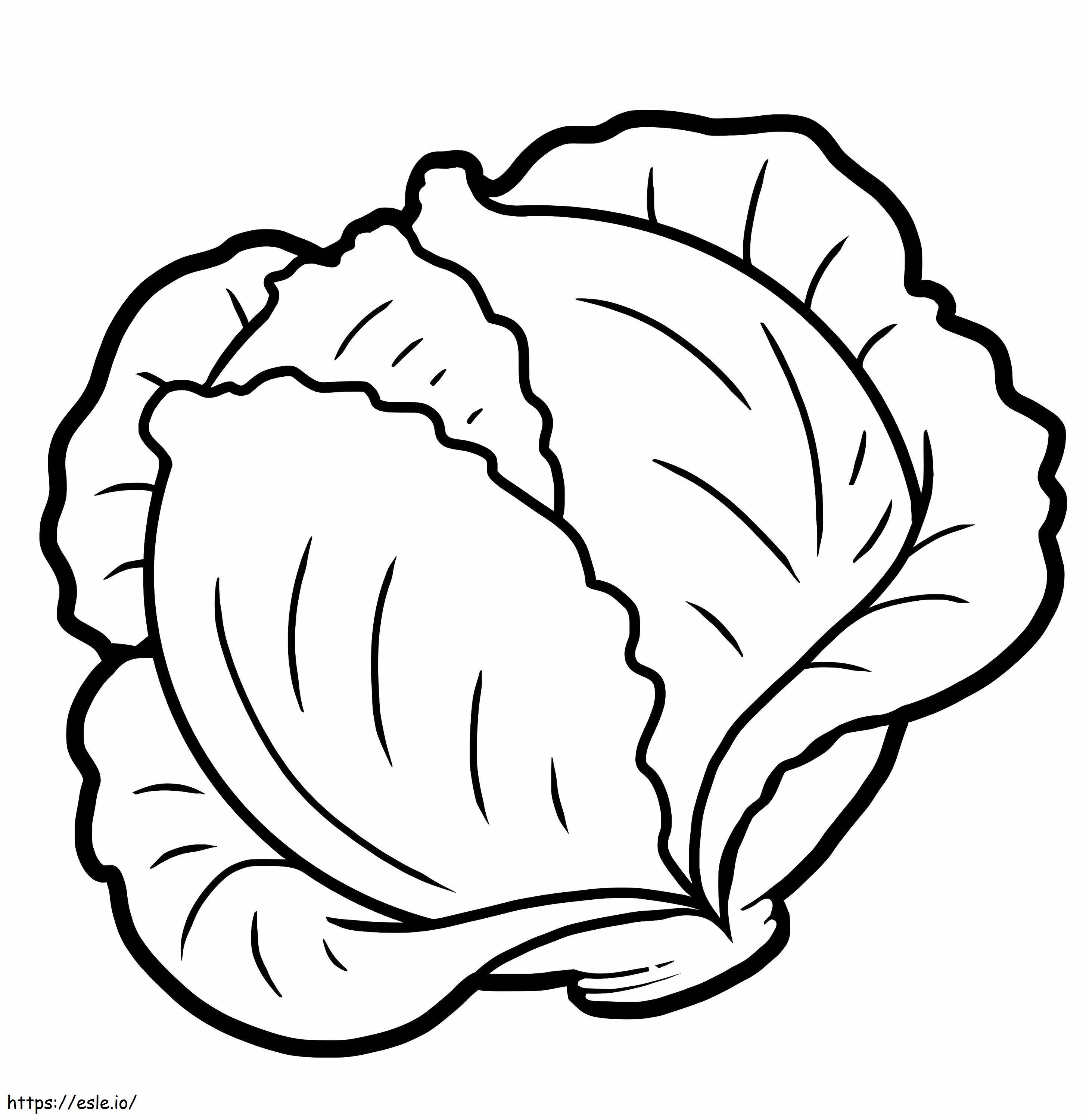 Green Cabbage 1 coloring page