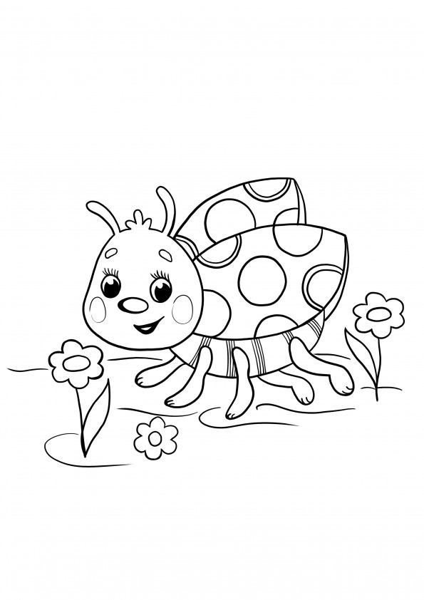 ladybug coloring page for free printing