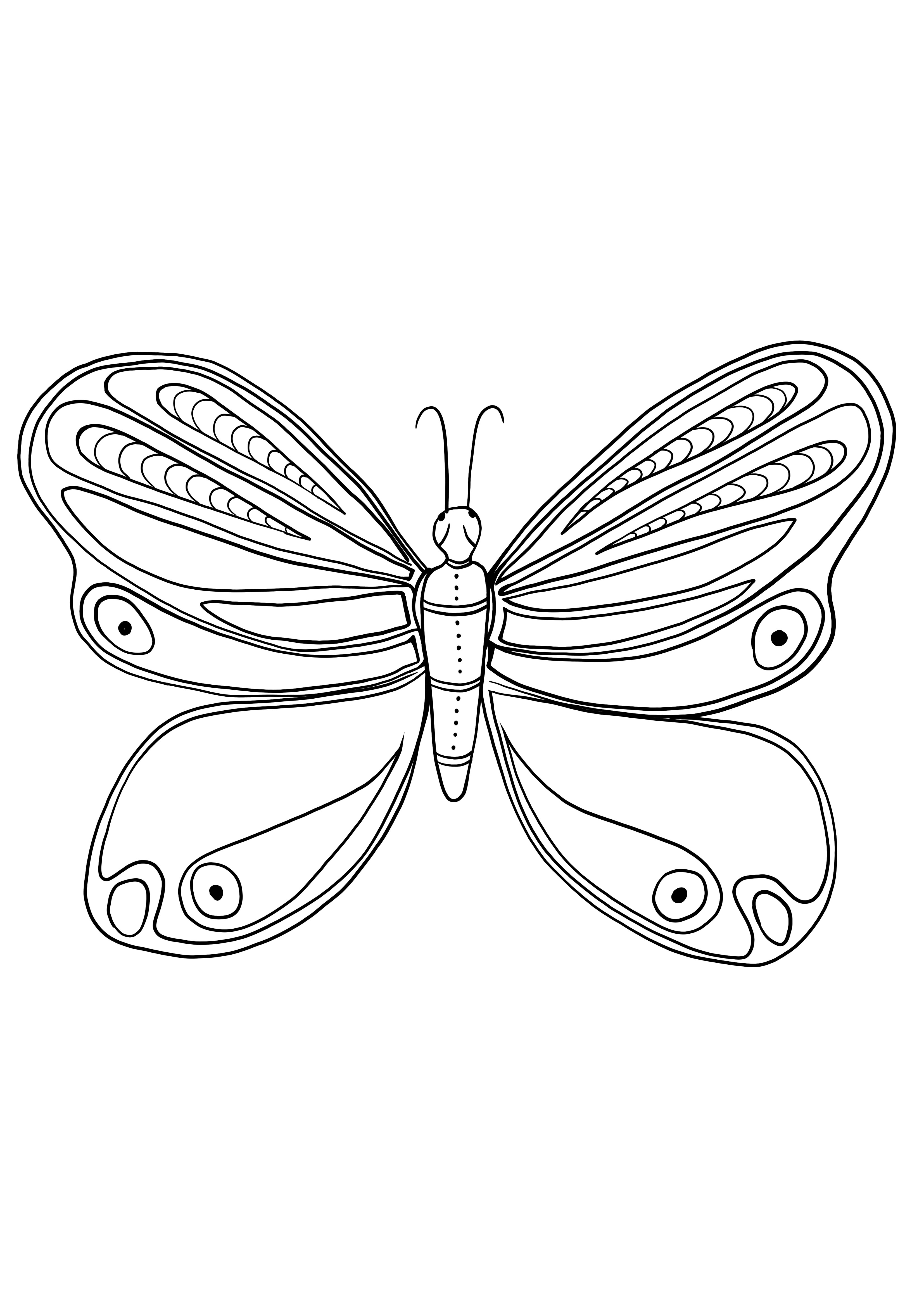 borboleta para imprimir de graça e colorir