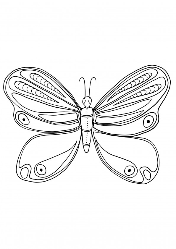 butterfly to print for free and color
