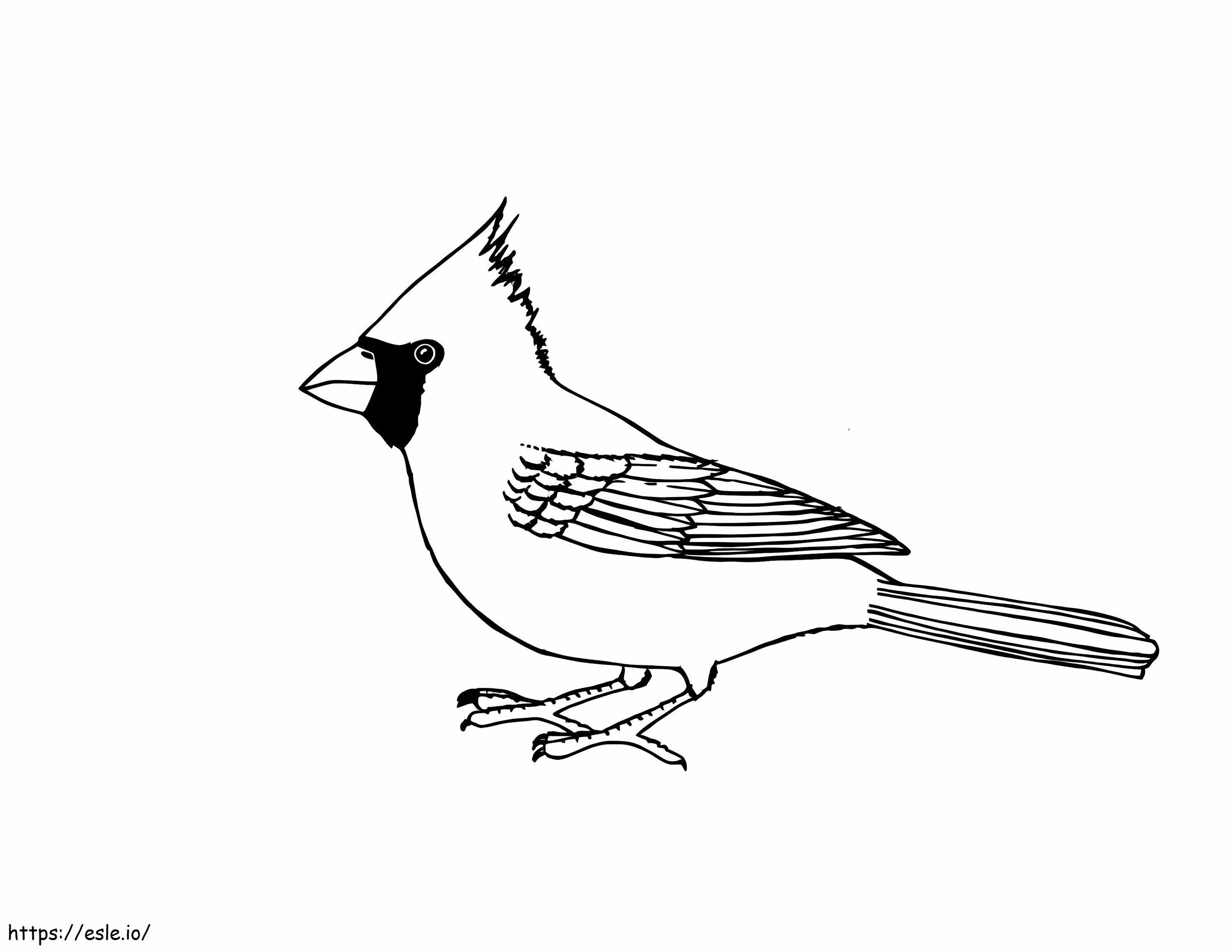 Great Cardinal coloring page