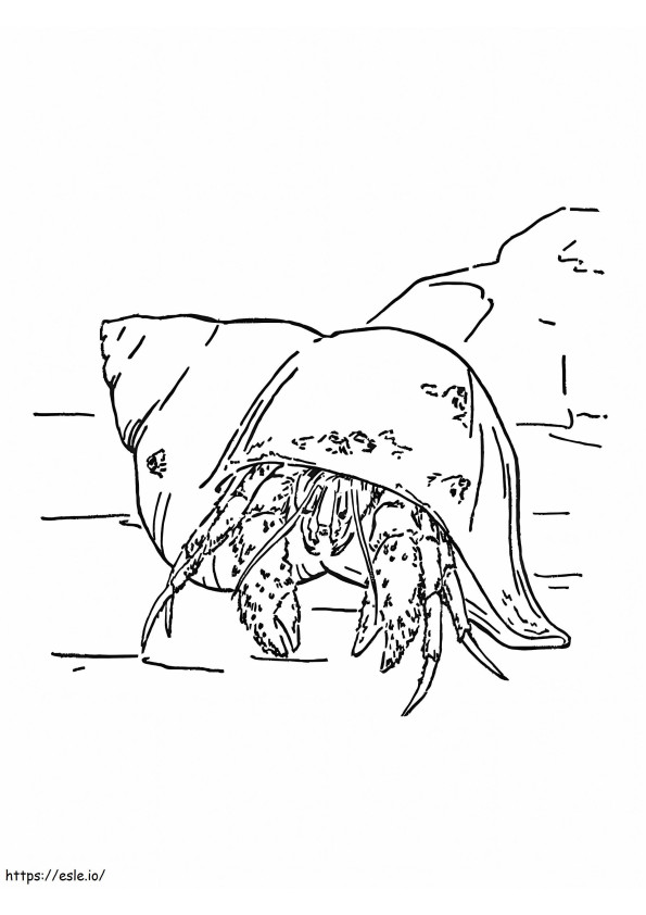 Hermit Crab 10 coloring page